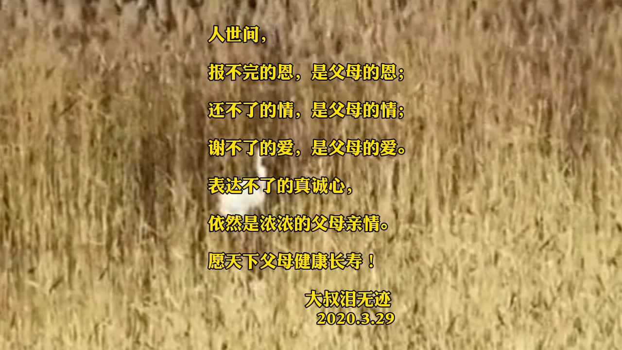 阿爸阿妈人世间最真挚的爱父母就是我们今生的菩萨