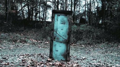 《森林之门》：占卜师告诫她不要捡门，她却全然不顾，将森林里的破门带回家