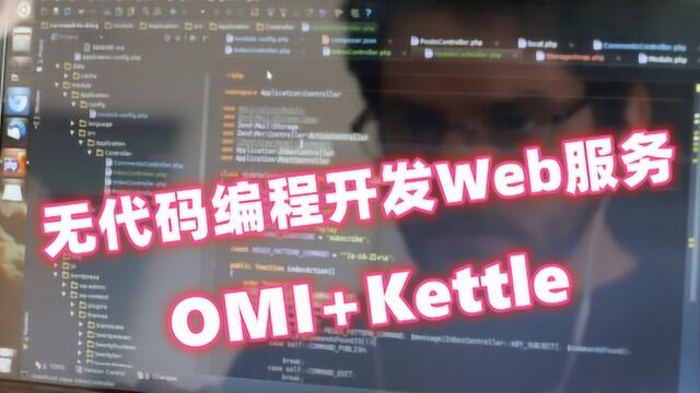 无代码编程开发Web服务OMI+Kettle就可以