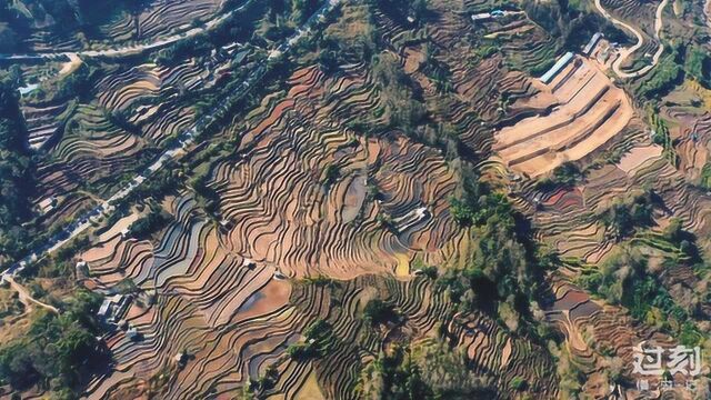 航拍世界文化遗产:云南的元阳梯田,红河哈尼族人的杰作,风景太震撼了