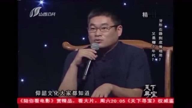 藏友老乡犁地犁出来块宝贝,专家估价能否令他满意?