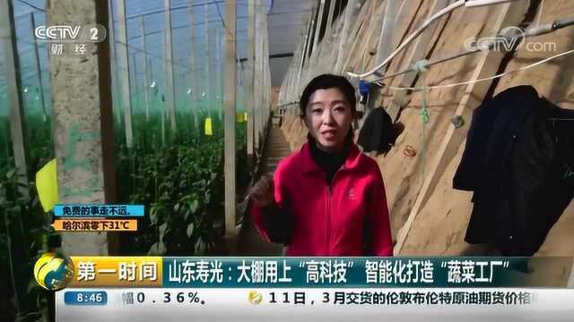 中央二套:寿光智慧“蔬菜工厂”孙明山