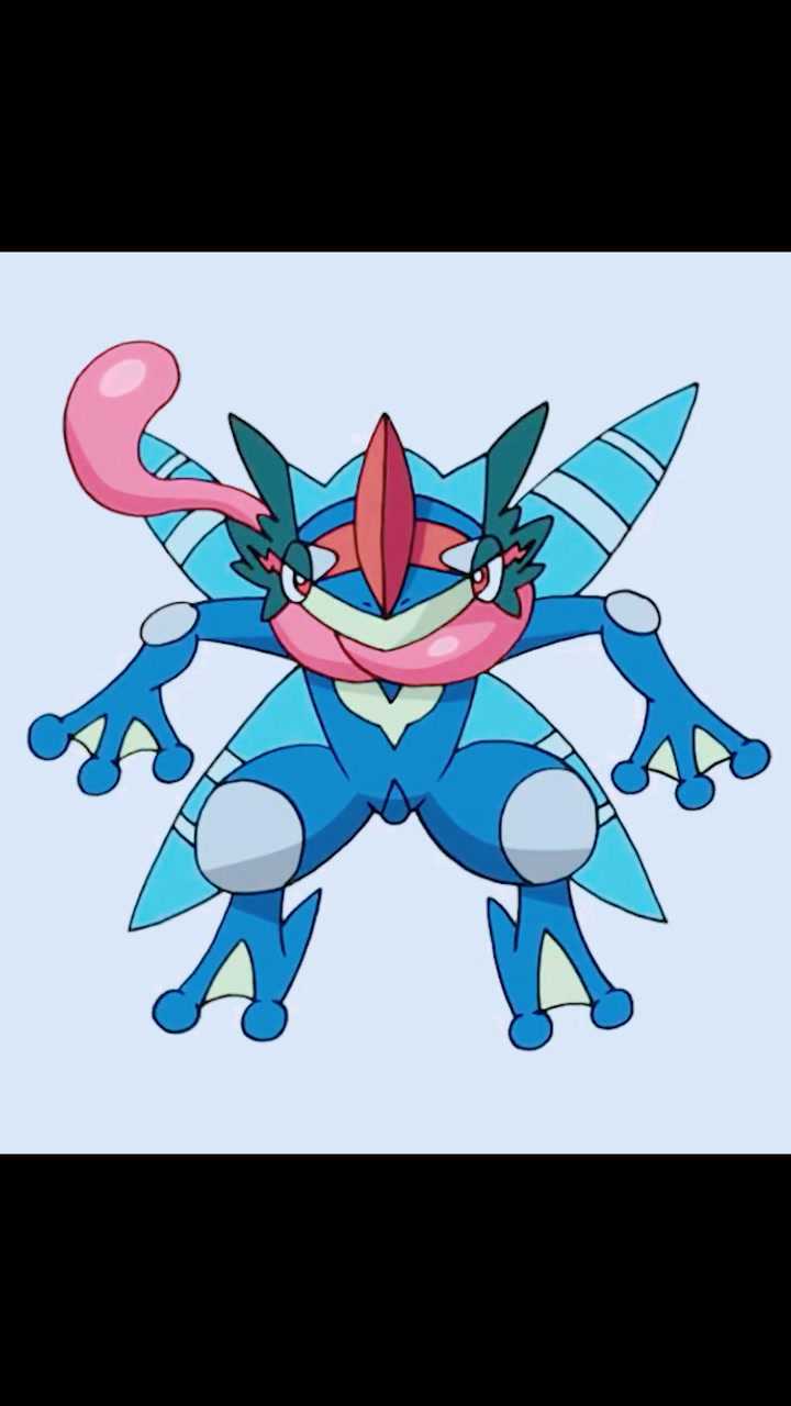 小智版甲贺忍蛙