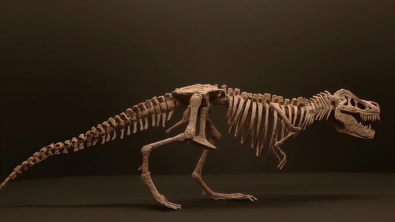 用3d打印笔制作霸王龙骨架