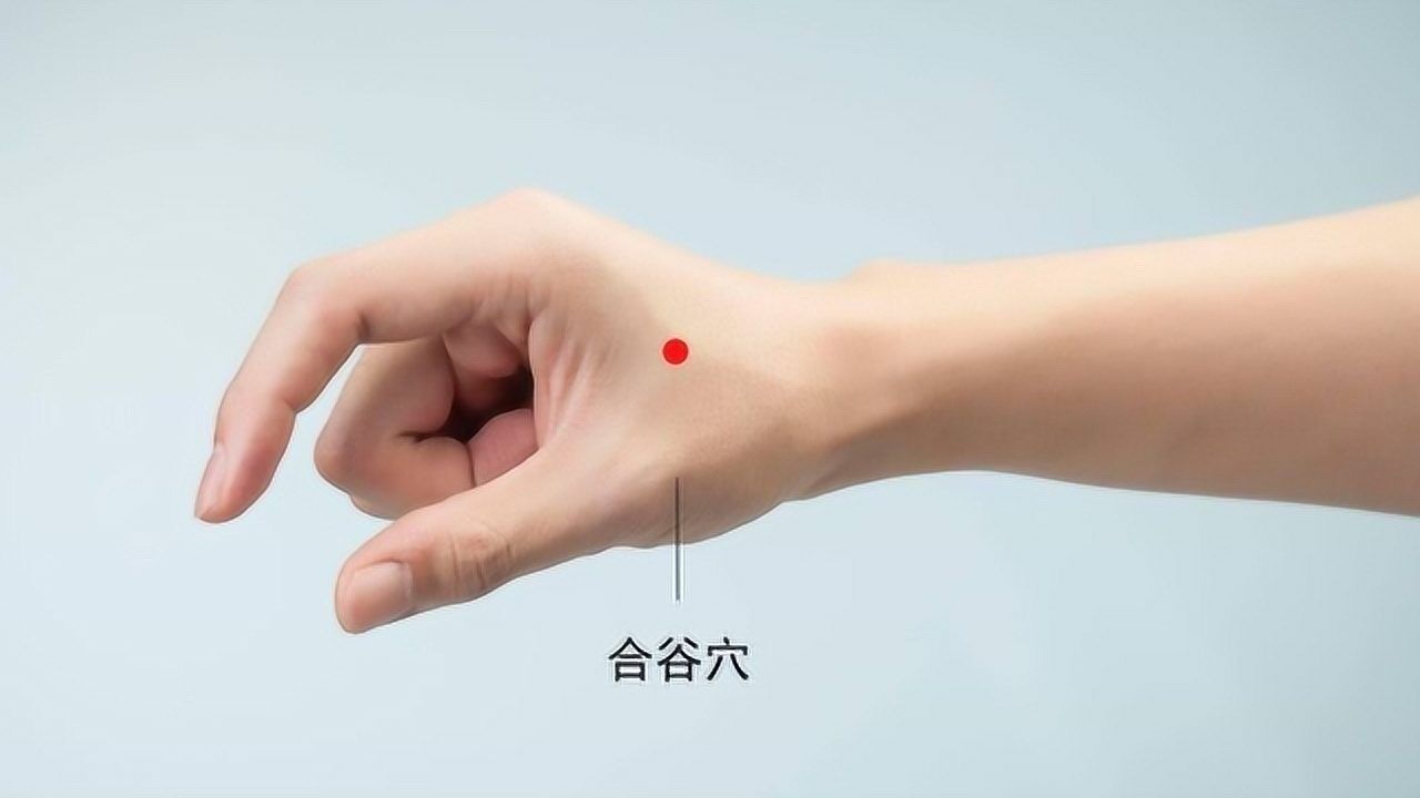 人体自带的"万能穴"合谷穴,头痛,牙痛记得它,止痛效果明显