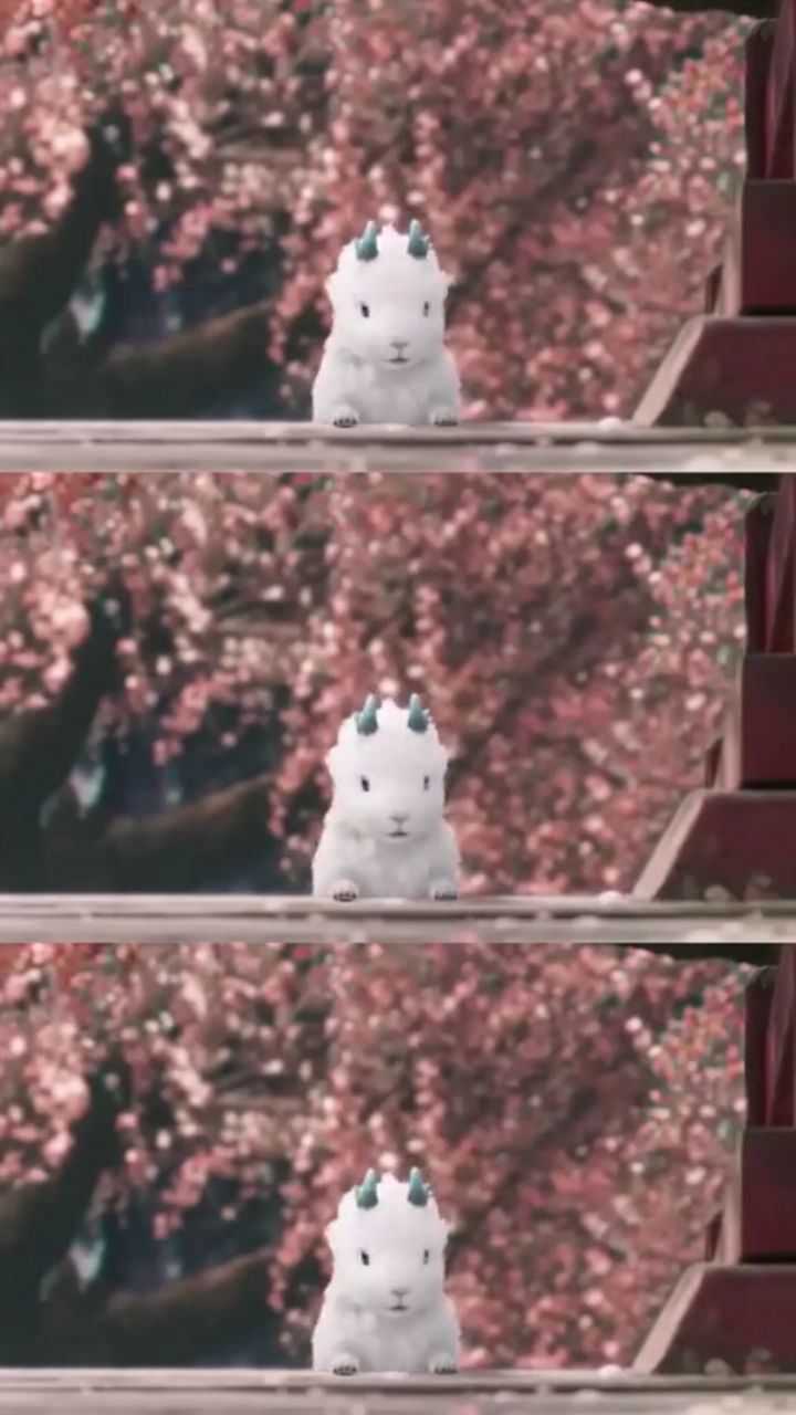 宸汐缘 白泽 五碗上古神兽