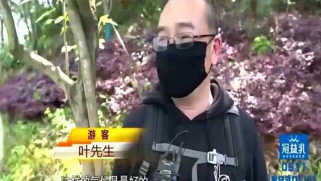 周末好去处!瑞安桐溪风景区:恢复湖光山色 游客纷至沓来