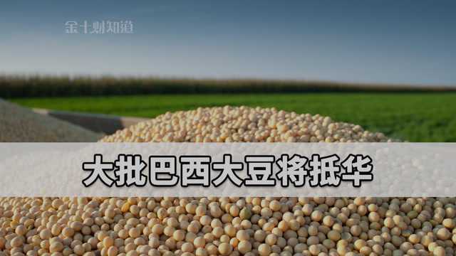 国内大豆价格涨至4748.3元每吨!本月底,大批巴西大豆将运抵中国