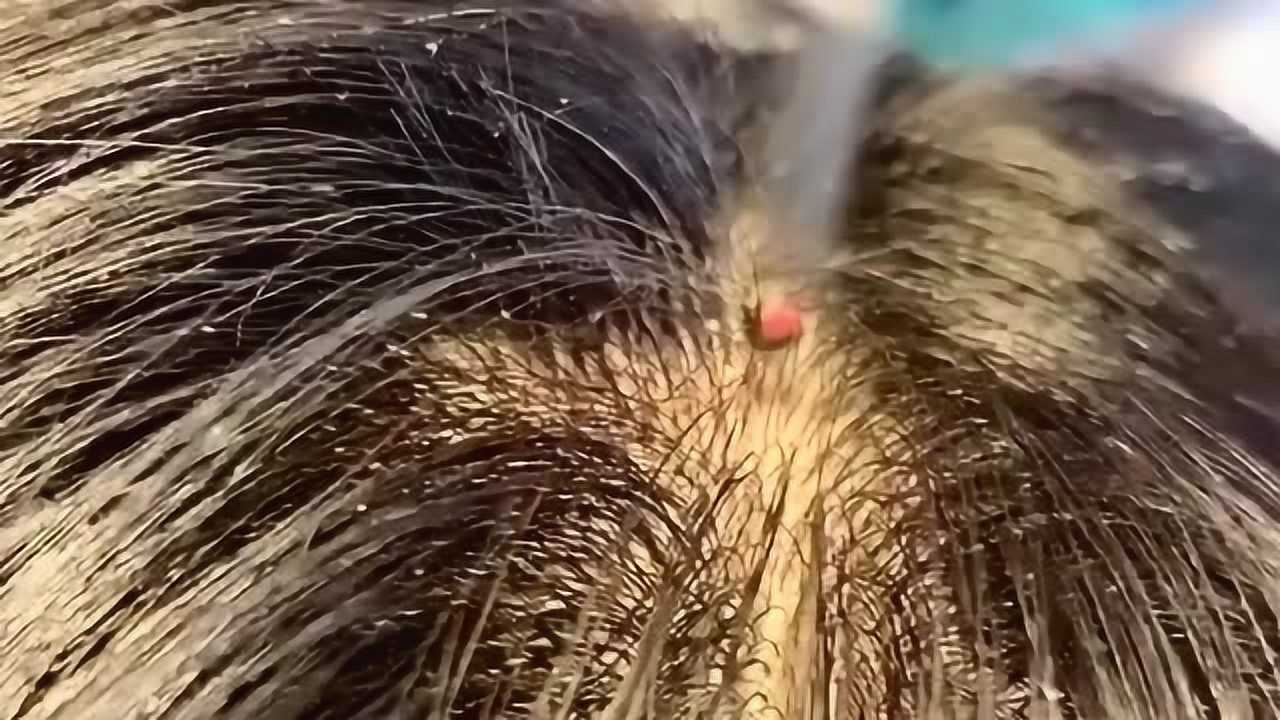 有人知道这是在干什么吗头顶上一直在冒烟感觉这一缕烟很吓人