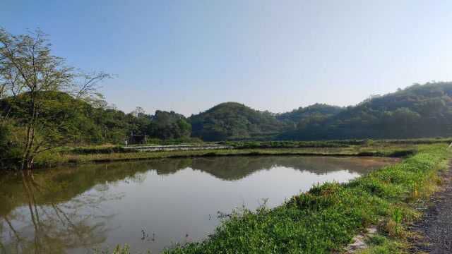 农村看坟地风水绝招,王君植风水大师武汉看风水点墓地风水视频