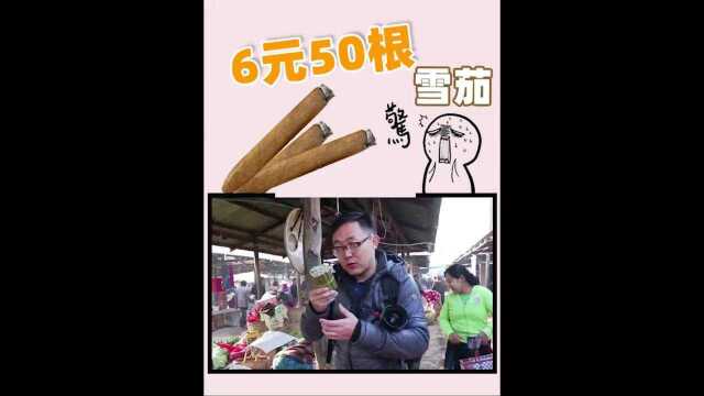 雪茄文化哦672