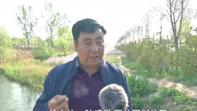 秦皇岛:绿化裸露地块 提升城市“颜值”