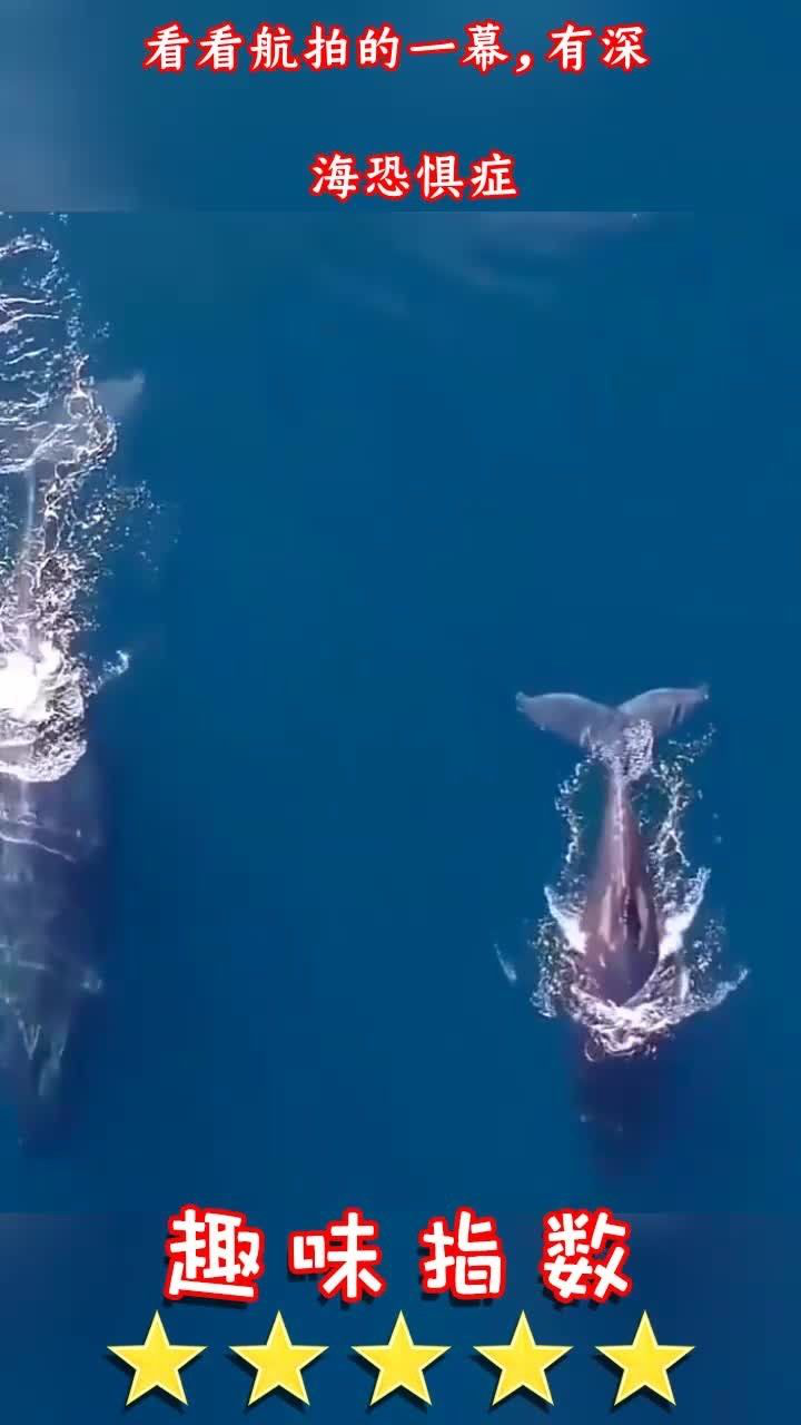 看看航拍的一幕,有深海恐惧症