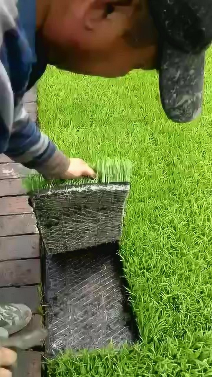 禾美家壮秧剂回访实录