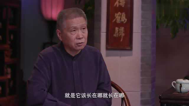 马未都:这个博物馆让我念念不忘,一年只开放半年...