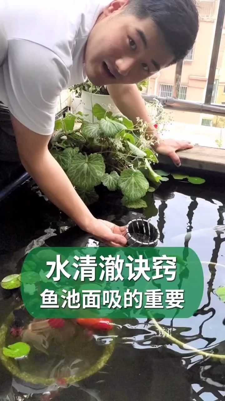 鱼池的进水面吸让水面时刻保持清洁水才清澈花园鱼池