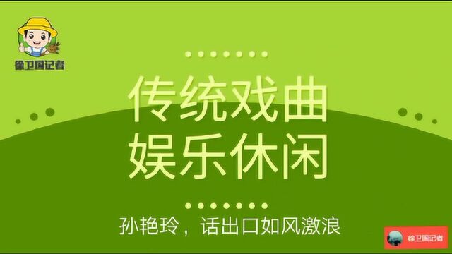 传统戏曲娱乐休闲,孙艳玲,话出口如风激浪