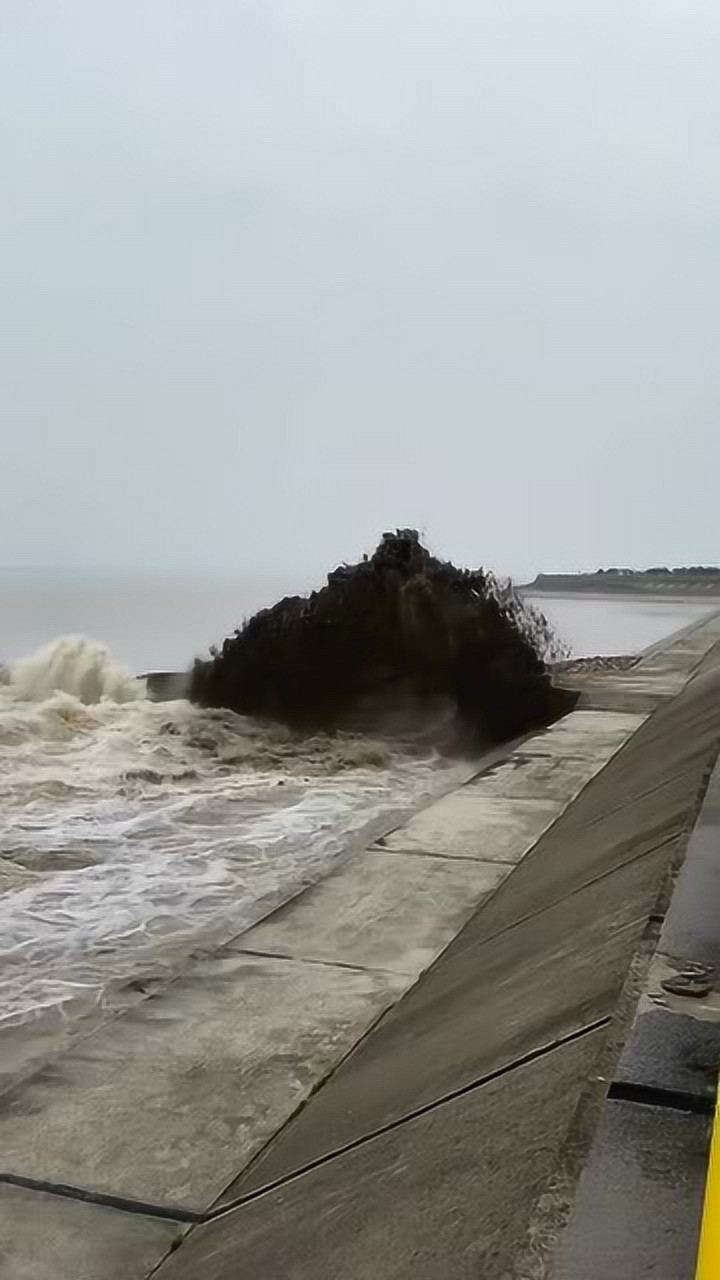 传说中可爱的洪水猛兽!钱江潮水如猛兽出笼,大自然的力量令人心生敬畏