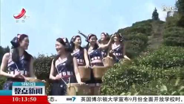 国际茶日:江西茶 香天下