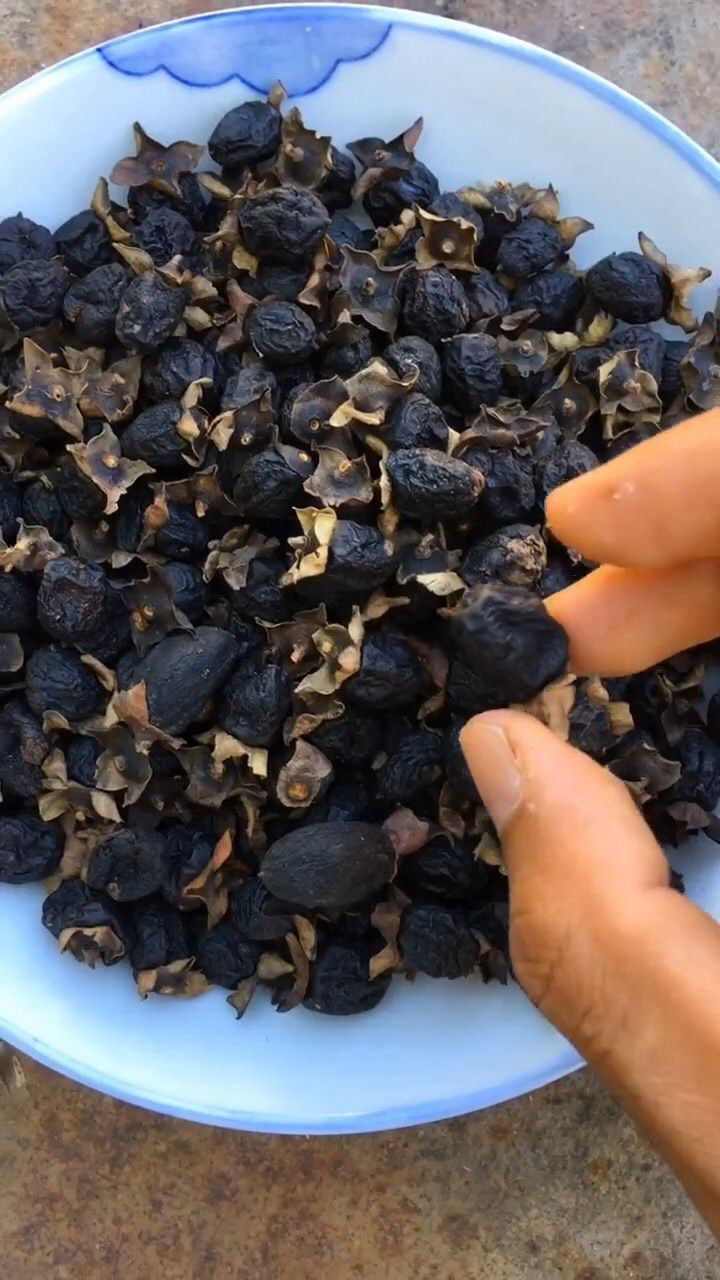 多少人吃过丁香果