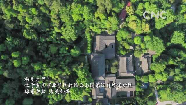 (美丽中国)重庆缙云山:绿意盎然生态美