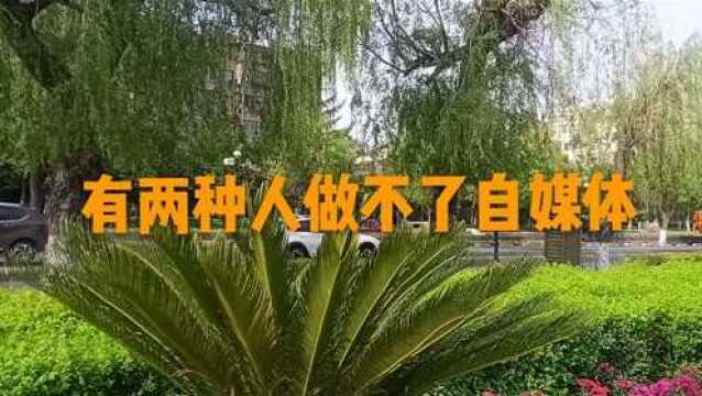 东北吉林的朋友们,懒惰的人和有贪心的朋友做不了自媒体,你知道