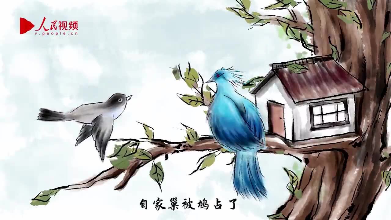 鸠占鹊巢图片带文字图片