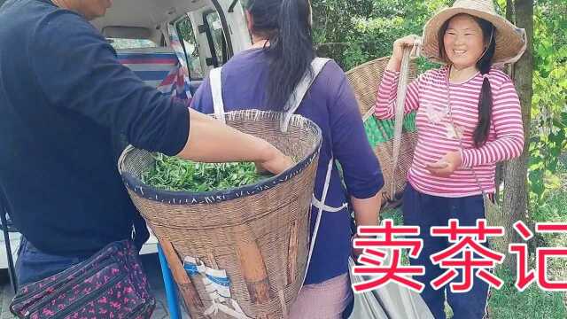 四川雅安名山普通的一个场景,茶农与茶厂之间的衔接,从这里开始