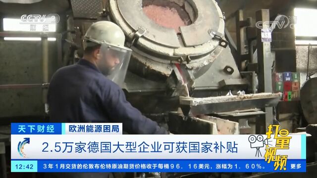 2.5万家德国大型企业可获国家补贴