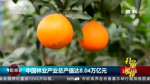 国家林草局:中国林业产业总产值达8.04万亿元