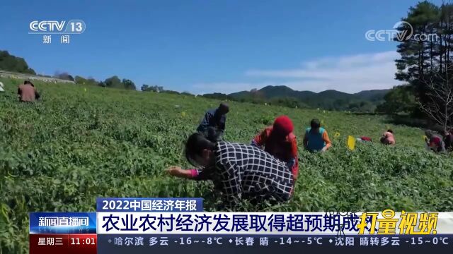 2022年中国经济报:农业农村经济发展取得超预期成效