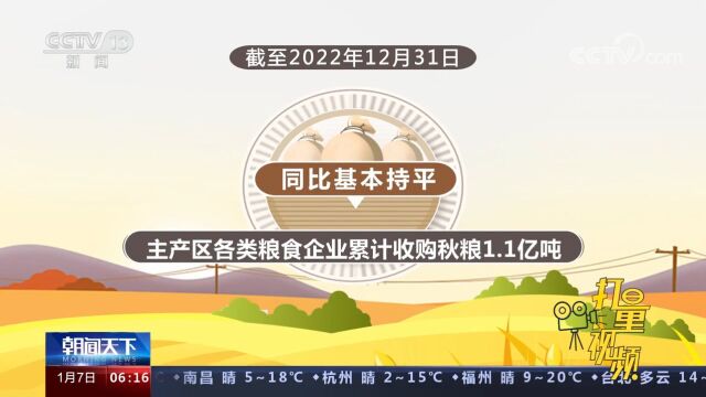 主产区各类粮食企业累计收购秋粮1.1亿吨,同比基本持平