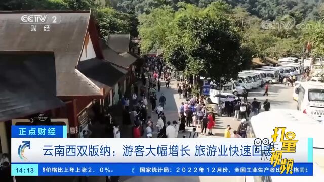 云南西双版纳:游客大幅增长,旅游业快速回暖