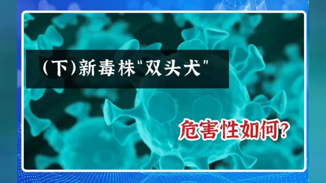 (下) 新毒株“双头犬”,危害性如何?