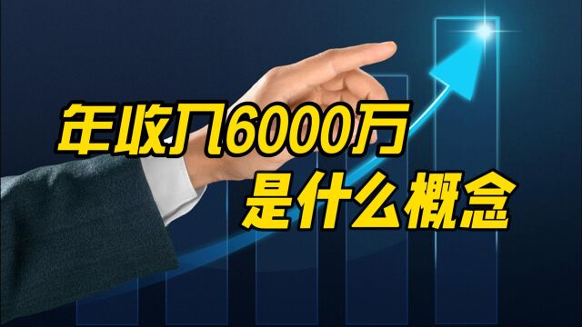 年收入6000万是什么概念