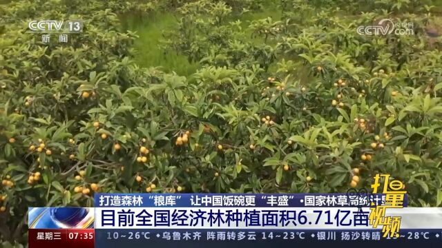 国家林草局统计显示:目前全国经济林种植面积6.71亿亩