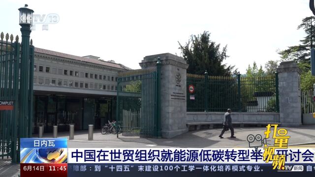 中国在世贸组织就能源低碳转型举办研讨会