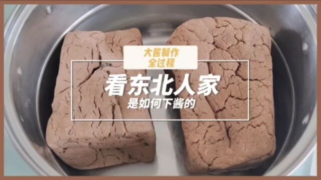 大酱制作全过程,看东北人家是如何下酱的