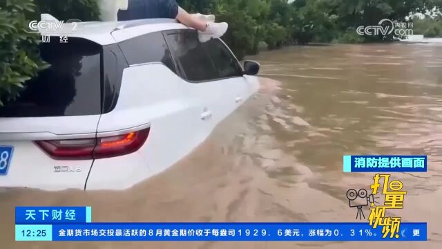 浙江衢州:暴雨来袭引发洪水,洪水已没过车窗位置