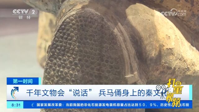 千年文物会“说话”,了解兵马俑身上的秦文化