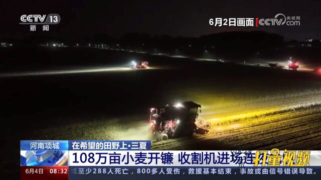 河南项城:108万亩小麦开镰,收割机进场连夜抢收