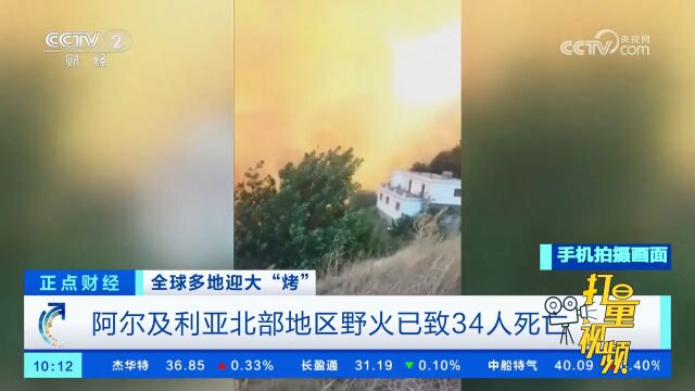 阿尔及利亚北部地区野火已致34人死亡