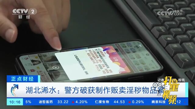 湖北浠水:警方破获制作贩卖淫秽物品案