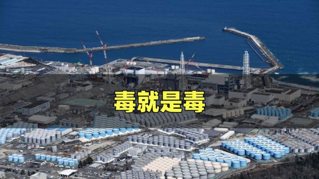 日本核污水排海定在夏季!福岛渔民愤怒发声:愚蠢至极,毒就是毒