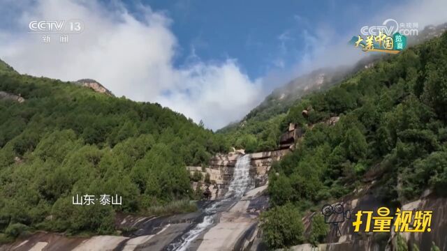 盛夏时节草木繁盛,一起跟随镜头感受人与自然和谐共生的生态之美