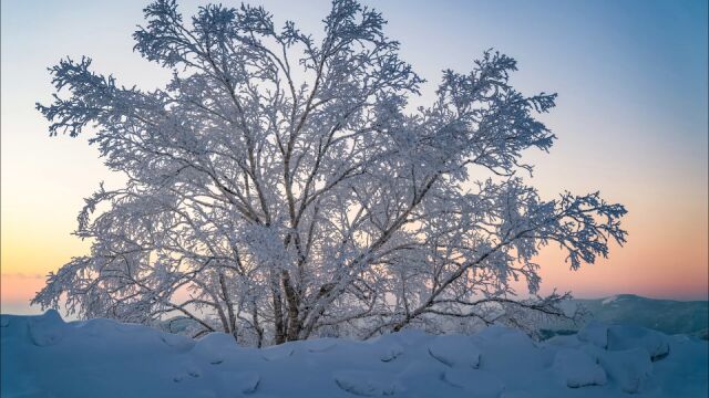 什么!“中国雪窝”不在东北?