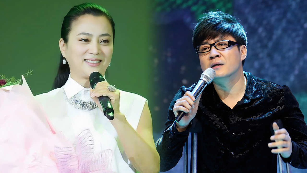 不愧是国家队歌手,李玲玉还是对《窗外》下手了,开口让人陶醉其中