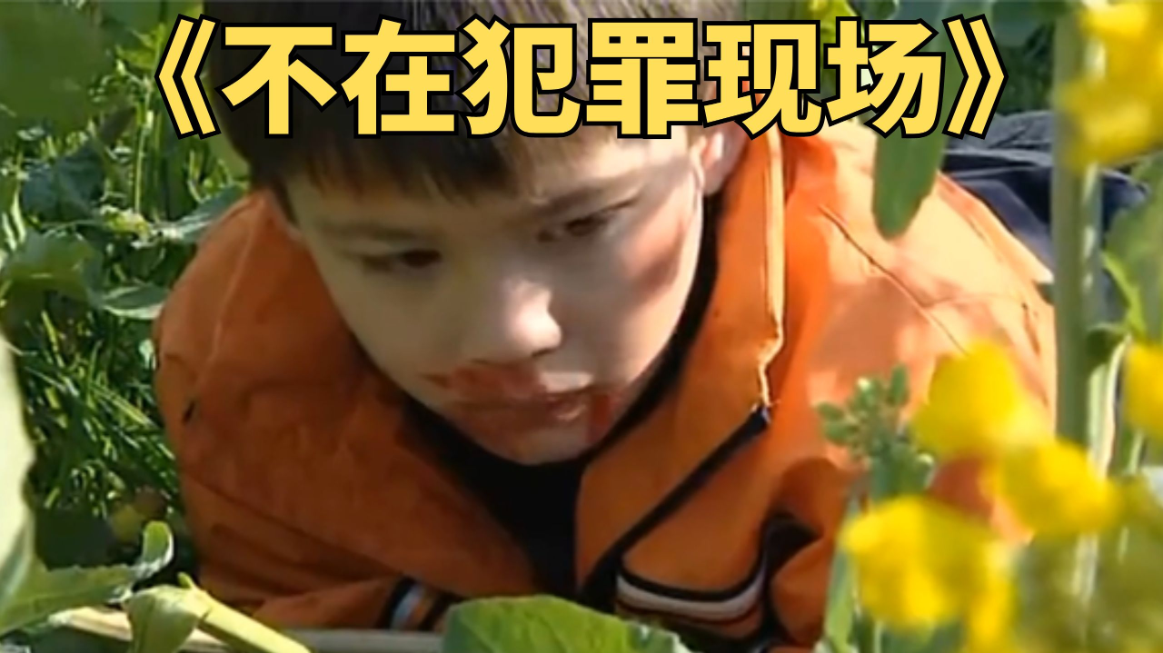 不在犯罪现场:小孩被人贩子拐到村里,看见邮递员飚英语求救
