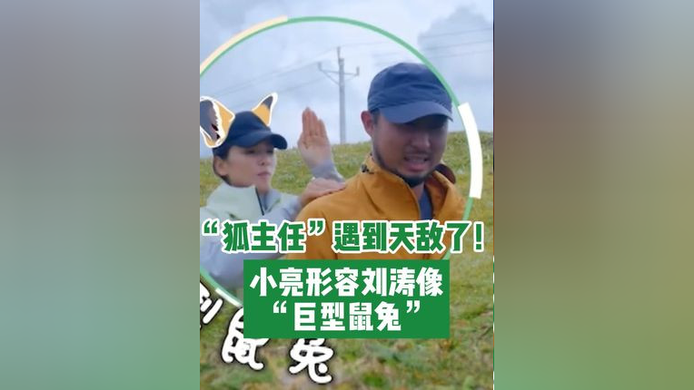 胡歌 问用一种动物来形容涛姐会是什么,小亮回答:巨型鼠兔!我们“狐主任”也算是遇到天敌了~_腾讯新闻