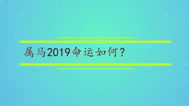 属马2019命运如何?